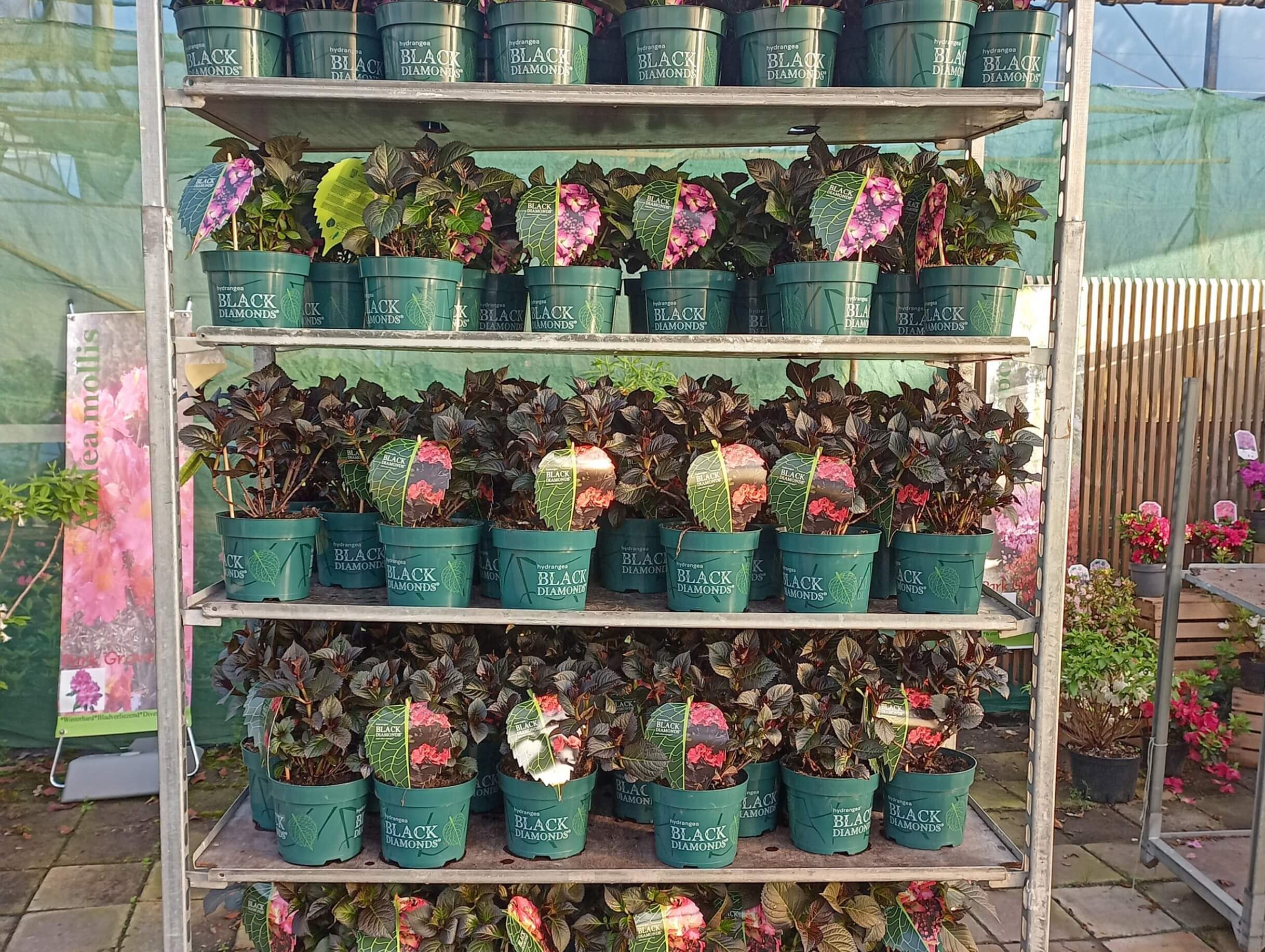 Plantkeuze