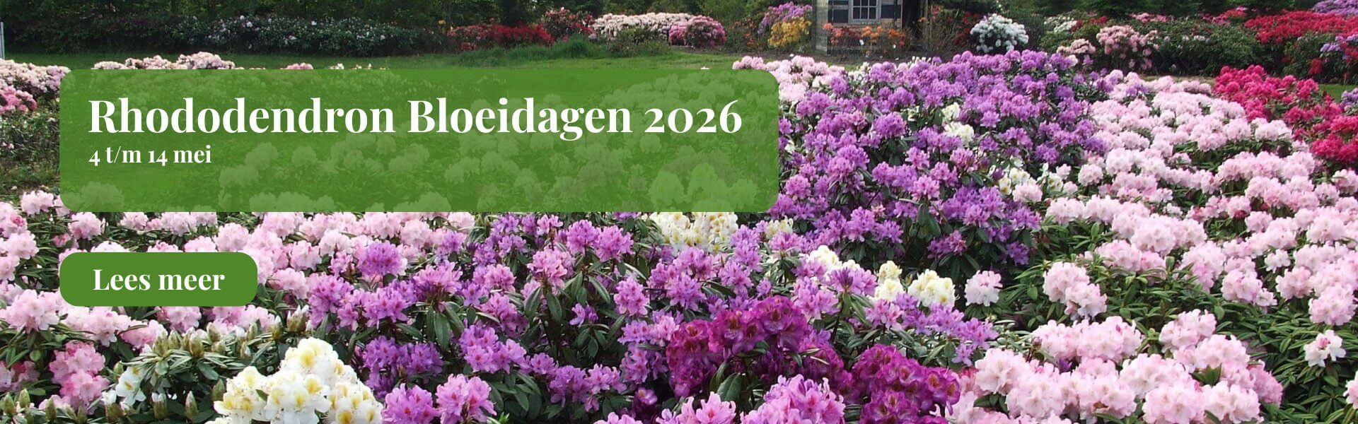 Rhododendron-bloeidagen